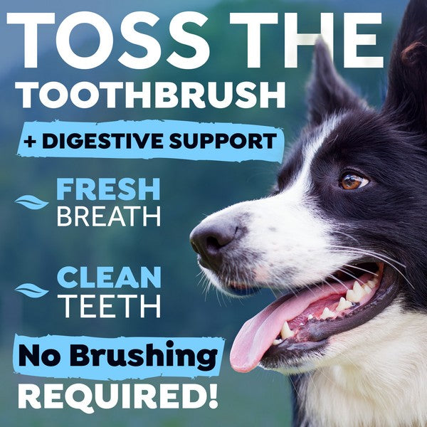 TropiClean Oral Care Dental Health Solution Plus Digestive Support 473ml