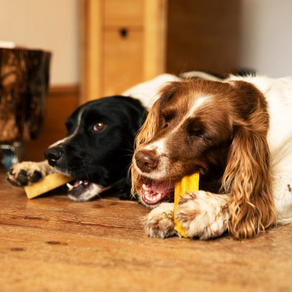 Petello Yak Cheese With Turmeric Dog Chew 155g