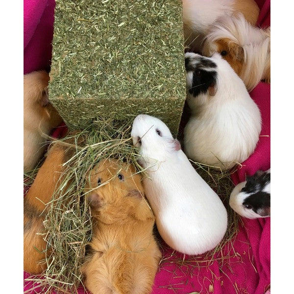 Rosewood I Love Hay Cube Large