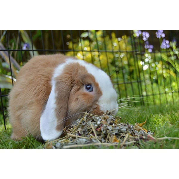 Rosewood Summer Harvest 150g