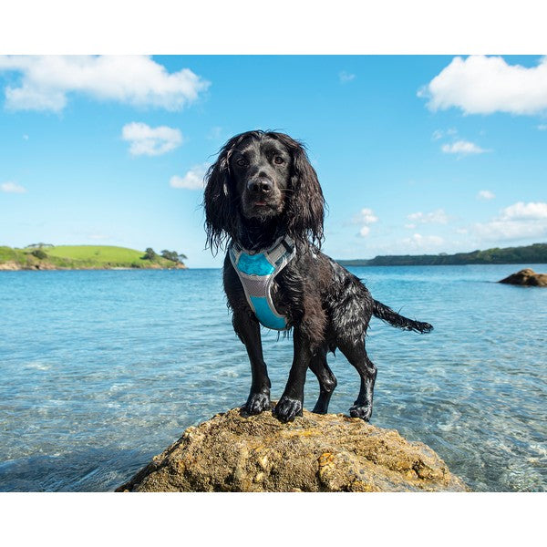 Henry Wag Dog Travel Harness M