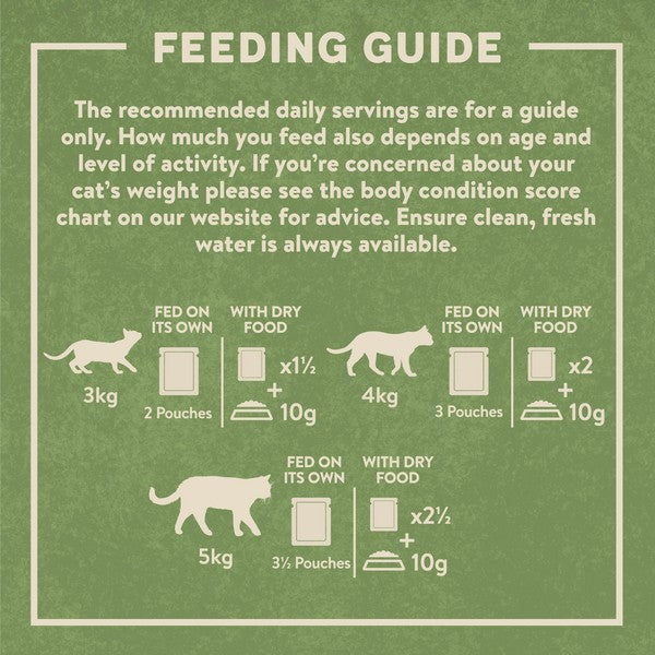 Harringtons Wet Cat Food in Jelly - 12x85g