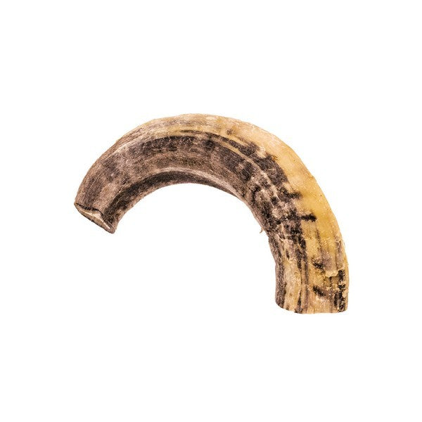 Doodles Deli Air Dried Ram Horn 1kg