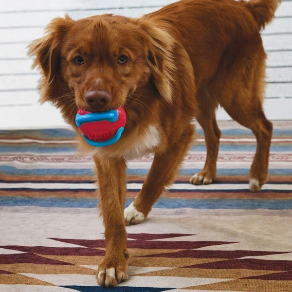 KONG Jaxx Brights Ball with Rope Assorted Medium