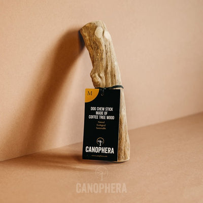 Canophera Coffee Wood Dog Chew Stick Medium