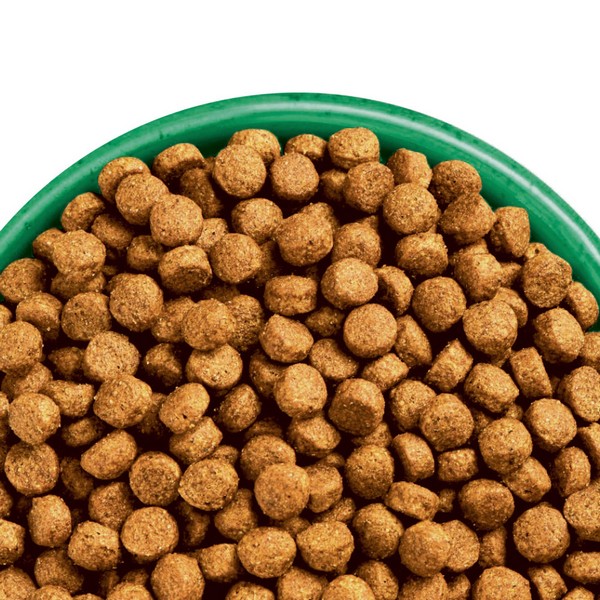 James Wellbeloved Dog Senior Chicken & Rice 2kg