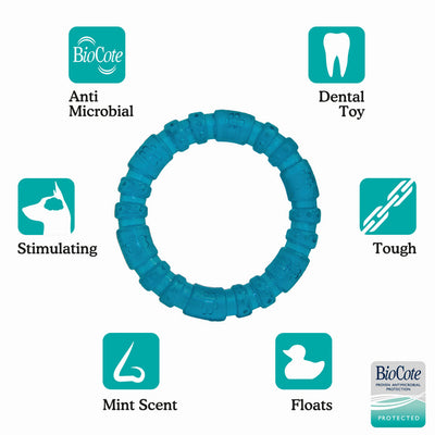 Rosewood Biosafe Blue Puppy Ring Dog Toy