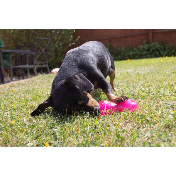Rosewood Biosafe Pink Puppy Bone Dog Toy