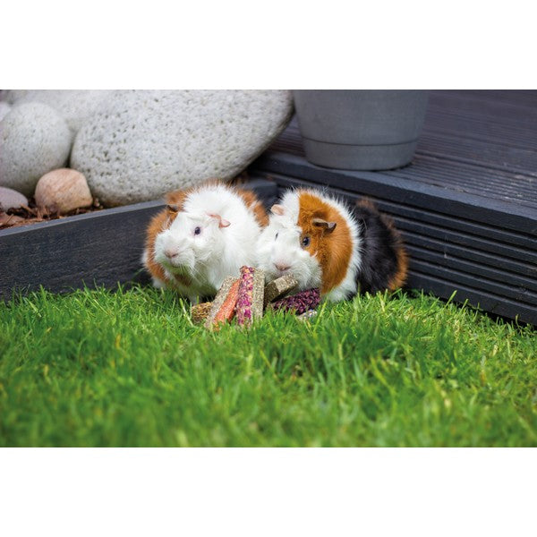 Naturals Luxury Flower, Fruit & Veg Bar Treats for Small Animals