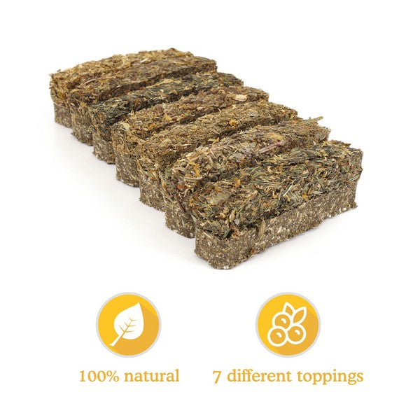 Naturals Luxury 7-Herb Bar Treats for Small Animals