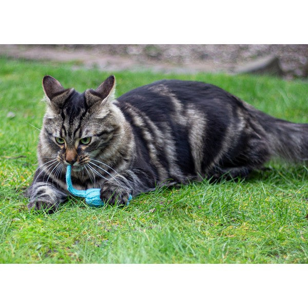 Rosewood Battersea Tune Chaser Mice Set of 3