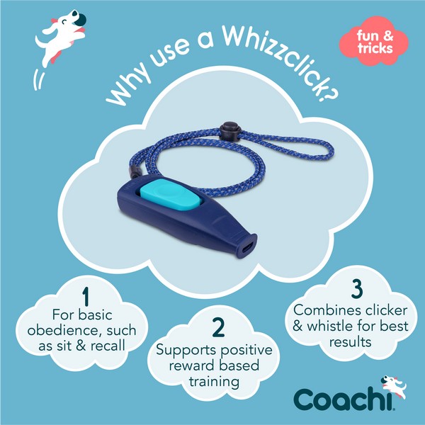 CoA Coachi Whizzclick Navy, Light Blue Button