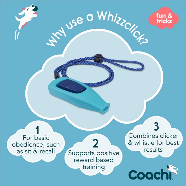 CoA Coachi Whizzclick Light Blue, Navy Button