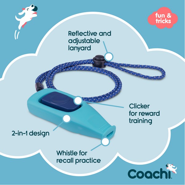 CoA Coachi Whizzclick Light Blue, Navy Button