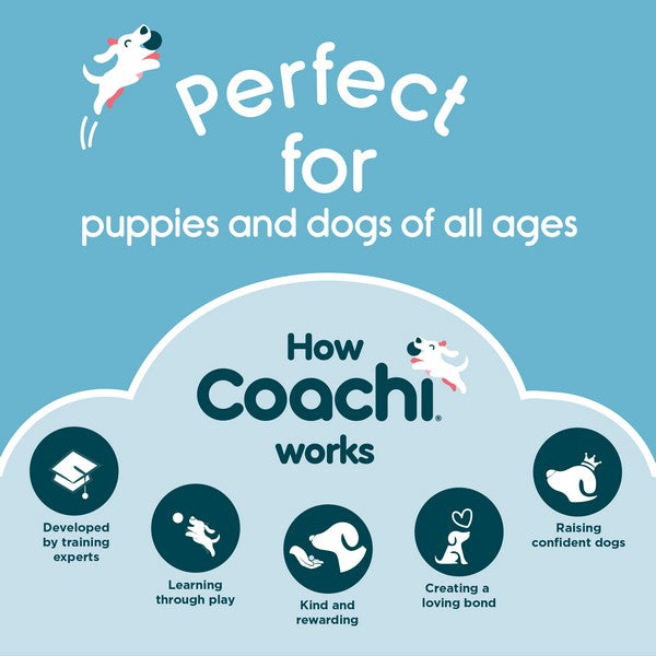 CoA Coachi Fetch & Reward Navy & Lime