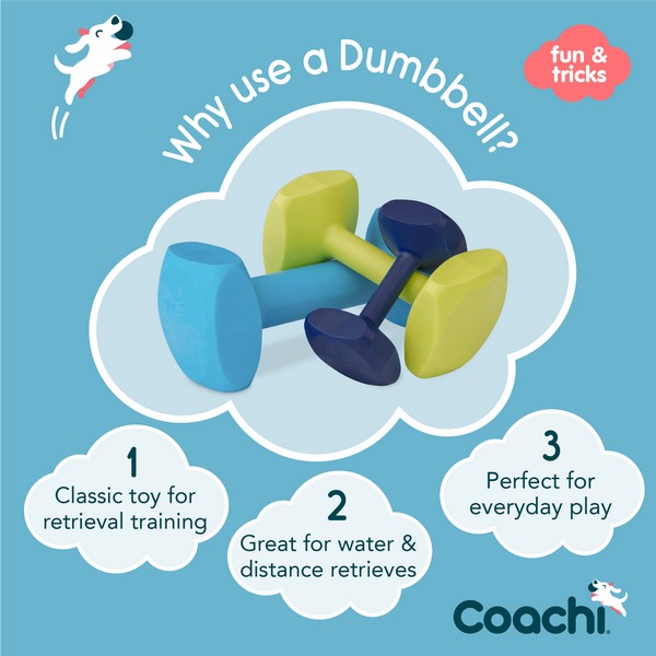 CoA Coachi Training Dumbbell Lime Medium