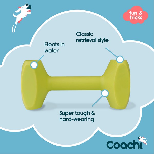 CoA Coachi Training Dumbbell Lime Medium