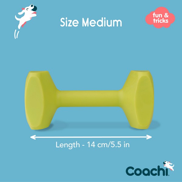 CoA Coachi Training Dumbbell Lime Medium