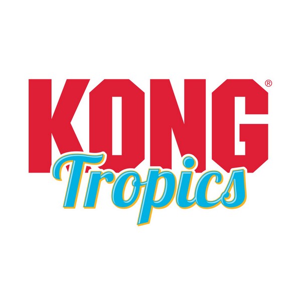 KONG Tropics Flamingo Two Pack