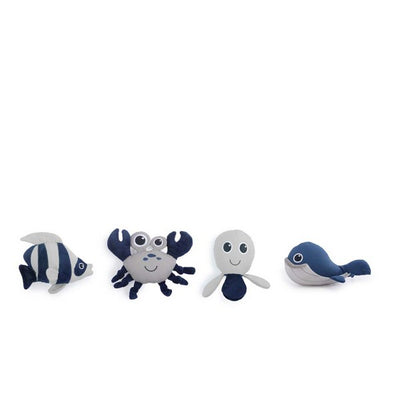 All For Paws Sea Life Treasure Box (Dcse24pcs)