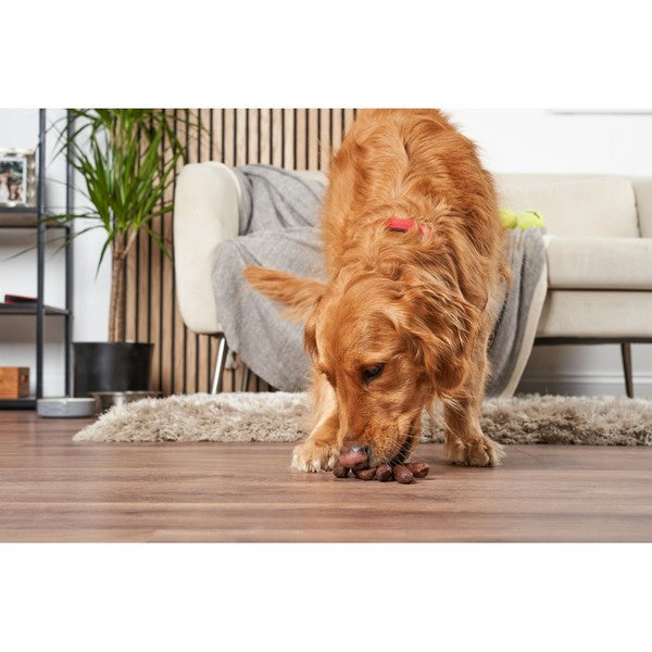 Doodles Deli Air Dried Linked Chicken Sausages 5kg