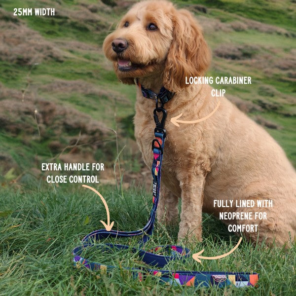Twiggy Tags Adventure Lead with Close Control Handle Aurora 1.5m