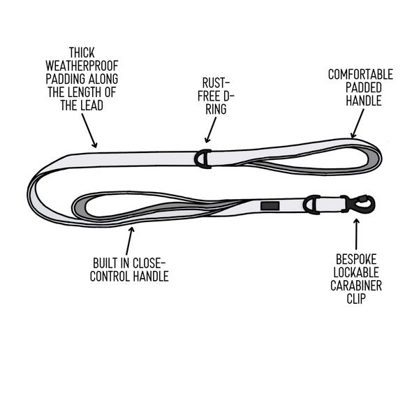 Twiggy Tags Adventure Lead with Close Control Handle Aurora 1.5m