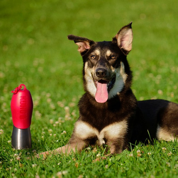 KONG H2O (740ml/25oz) Stainless Steel Bottle Black