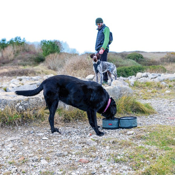 KONG Fold-Up Double Bowl