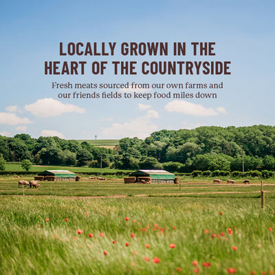 Vitalin Adult Farmhouse Chicken 2kg