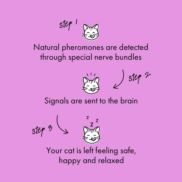 Itch Chill Out Calming Diffuser and 30 Day Refill for Cats 48ml