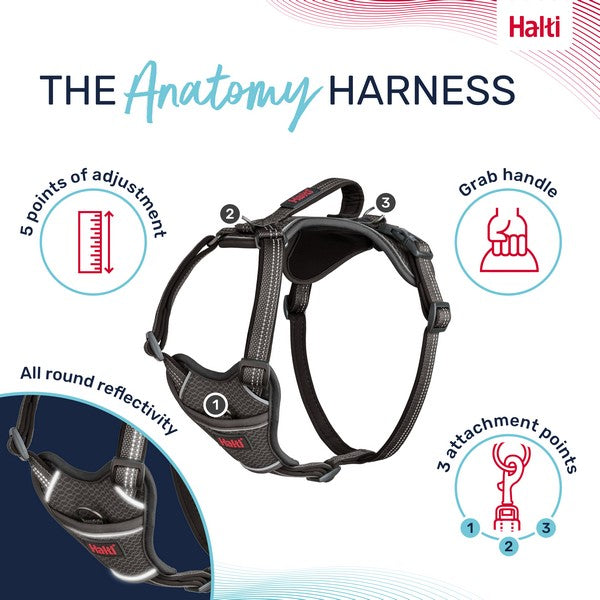 COA Halti Anatomy Dog Harness