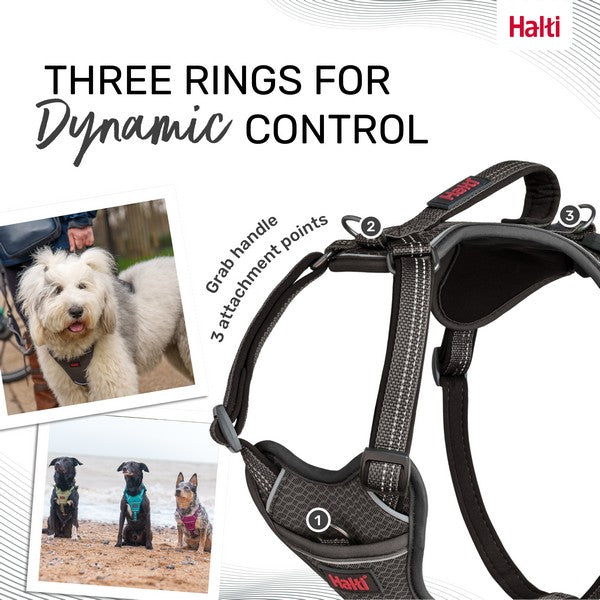 COA Halti Anatomy Dog Harness
