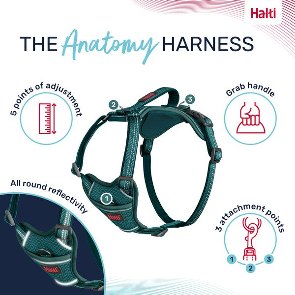 COA Halti Anatomy Dog Harness
