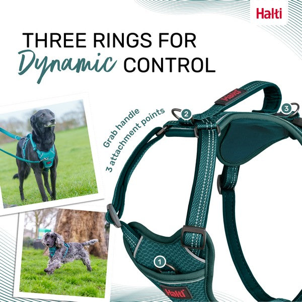 COA Halti Anatomy Dog Harness