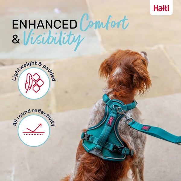 COA Halti Anatomy Dog Harness