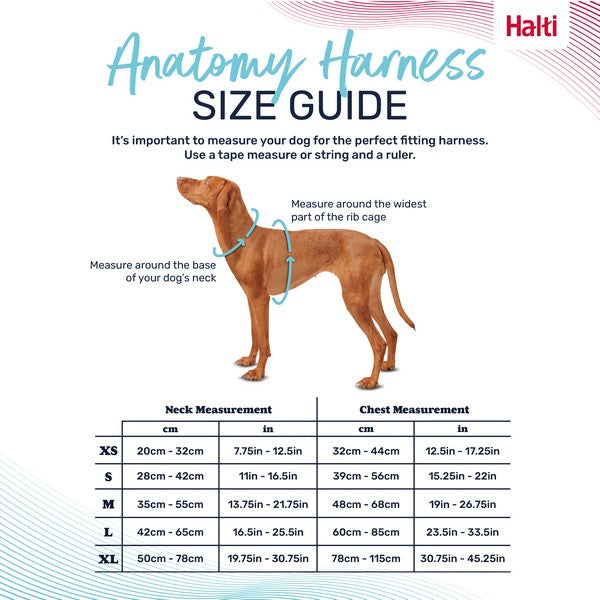 COA Halti Anatomy Dog Harness