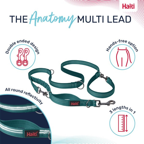 COA Halti Anatomy Multi Lead Teal Small