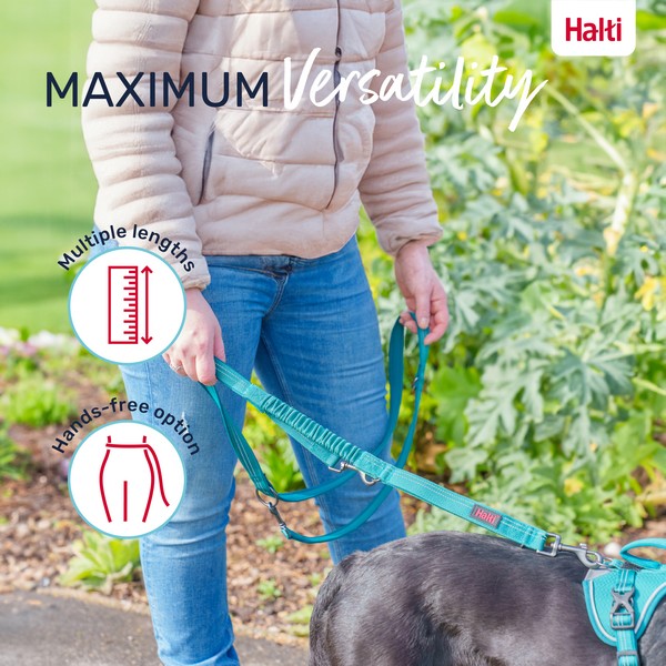 COA Halti Anatomy Multi Lead Teal Small