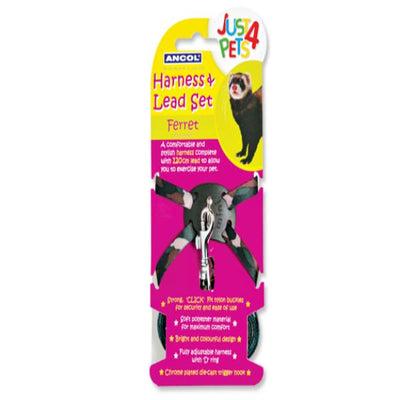 Ancol Ferret Harness And Lead Set
