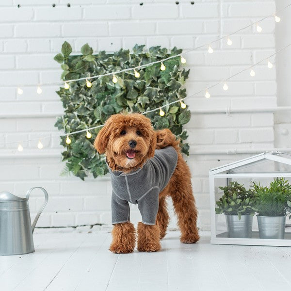 GF Pet Gondola Base Layer Charcoal XS
