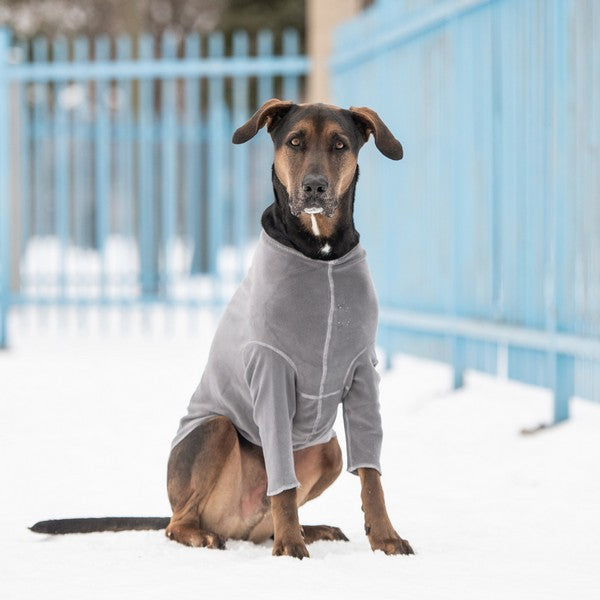 GF Pet Gondola Base Layer Charcoal XS