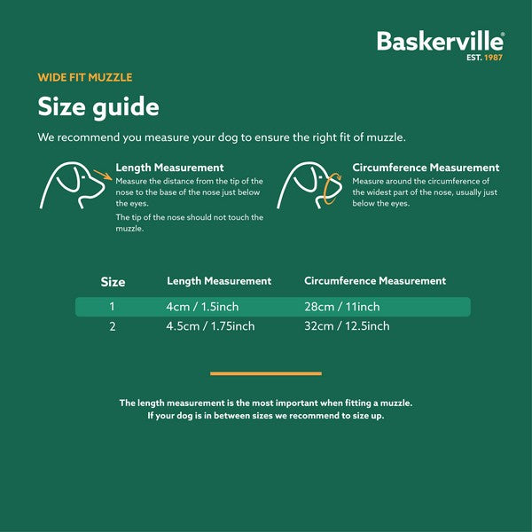 COA Baskerville Wide Fit Size 1