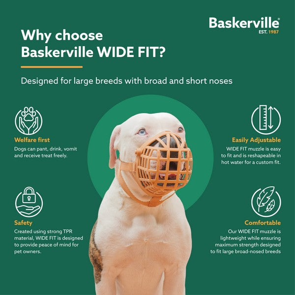 COA Baskerville Wide Fit Size 1