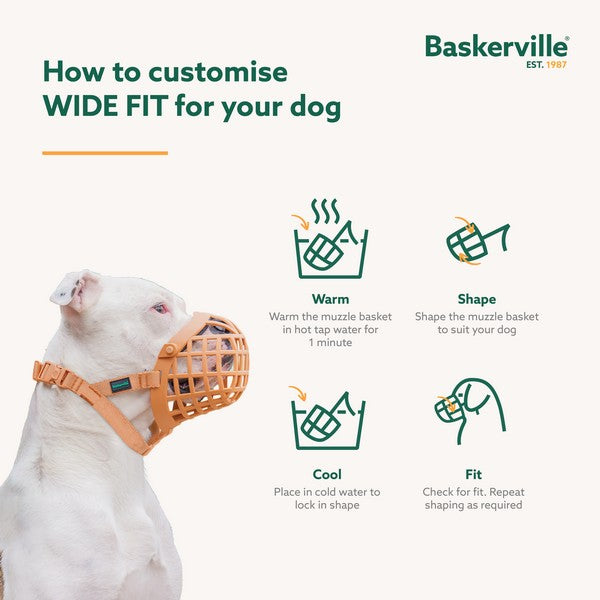 COA Baskerville Wide Fit Size 1