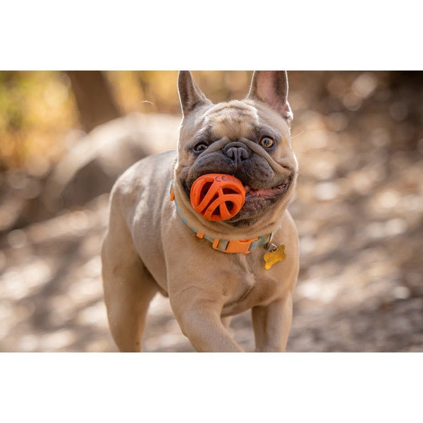 Chuckit! Air Fetch Ball Medium (2pk)
