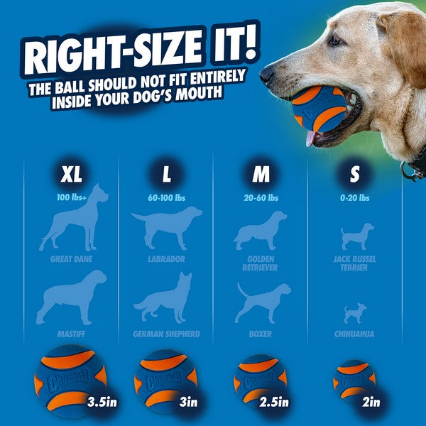 Chuckit! Ultra Squeaker Ball Medium (2Pk) 6.5cm