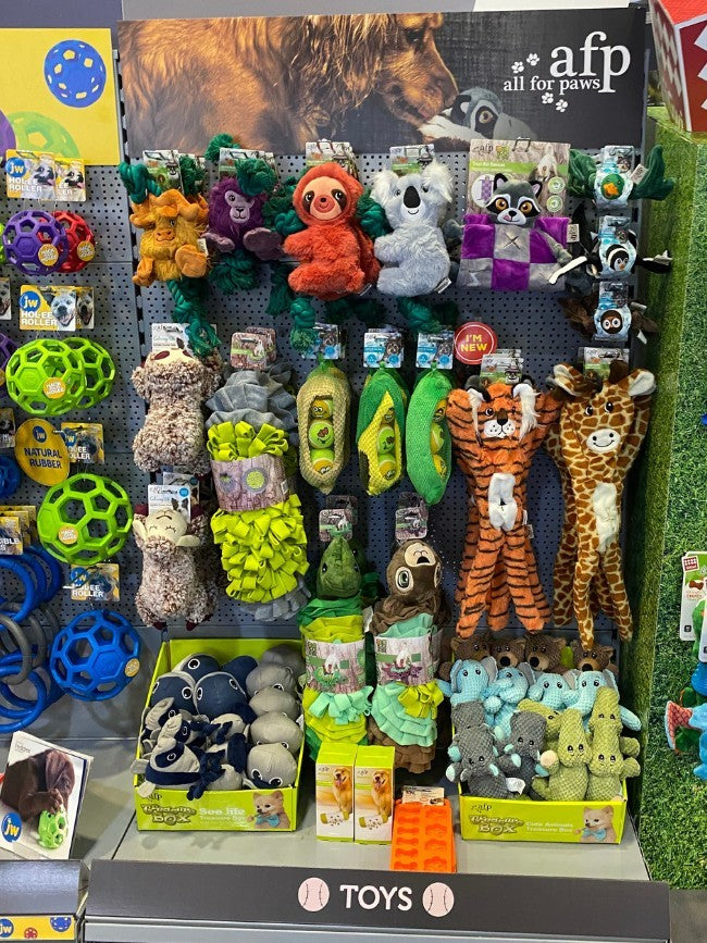 All For Paws Sea Life Treasure Box (Dcse24pcs)
