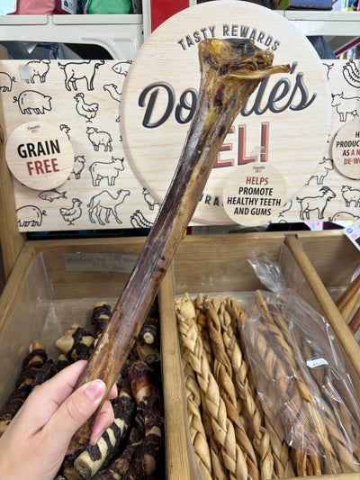 Ostrich Metatarsus Bone