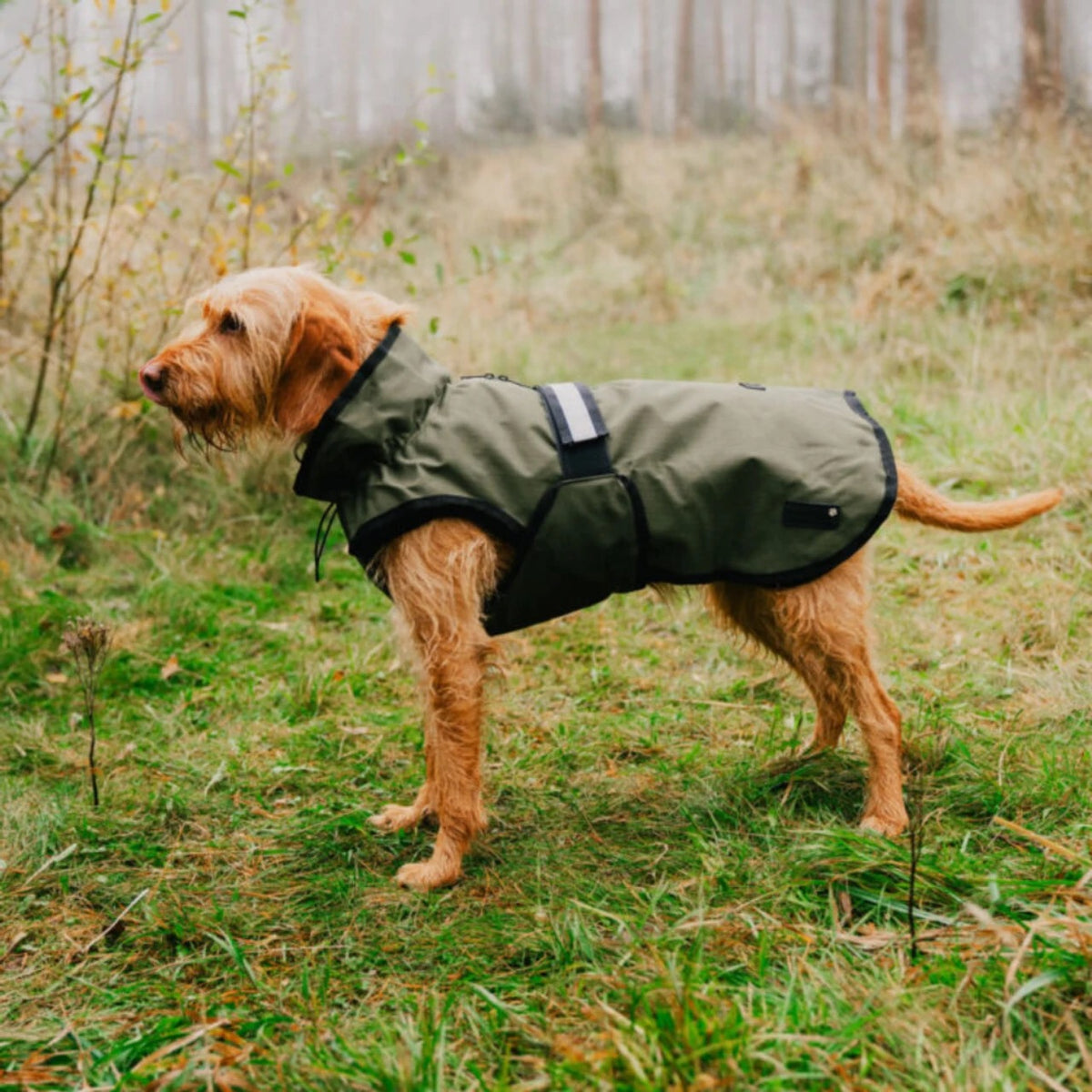 Danish Design 3-In-1 Dog Coat Medium 41cm